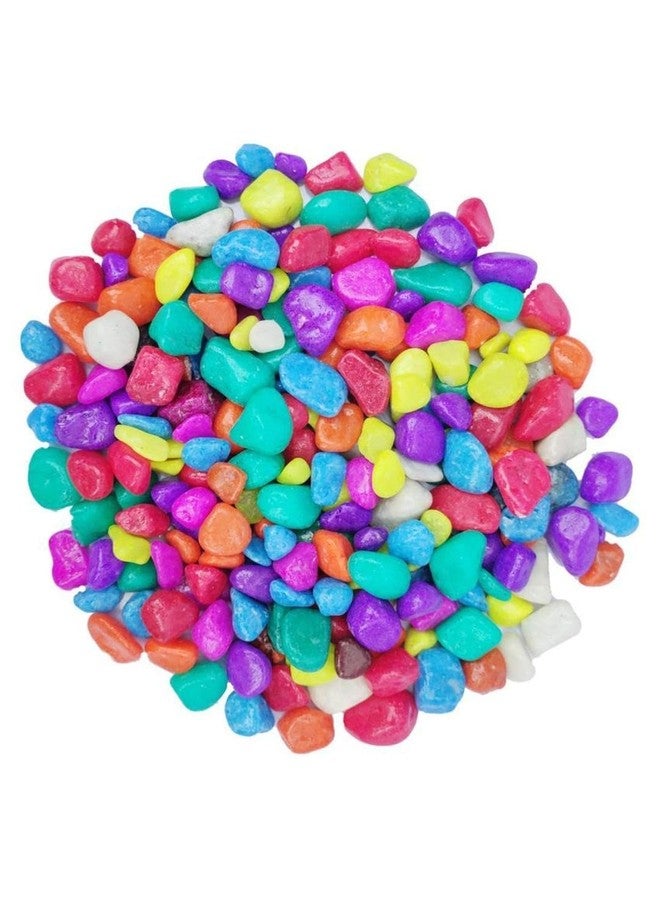 Somil Multicolor Pebbles/Stones for Garden, Plants, Lawns, Aquariums, Fish Pots, Home Decor, Vases, Furniture Filler. Size: 10-30mm, Shiny Multicolor -A286 - Image 1